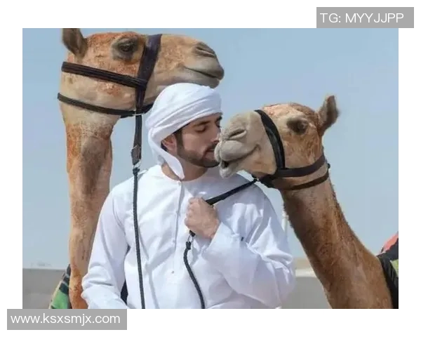 迪拜王子的足球明星身份揭秘及其在足球界的影响力分析